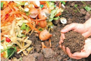 Cách tự làm thùng ủ rác hữu cơ, phân hữu cơ tại nhà đơn giản Cách tự làm thùng ủ rác hữu cơ, phân hữu cơ tại nhà đơn giản