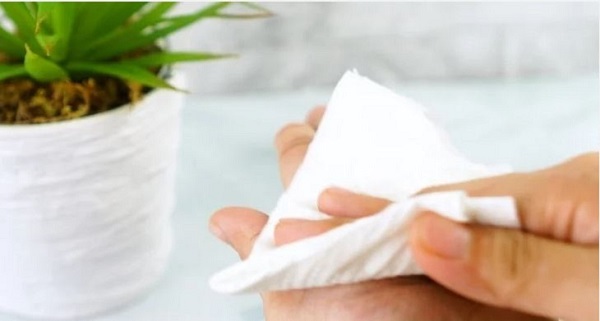 Lau khô tay bằng khăn giấy cá nhân sau khi sử dụng nhà vệ sinh công cộng
