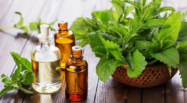 Cách khử mùi hôi nhà vệ sinh công cộng hiệu quả - hình 4