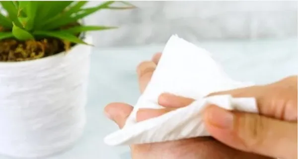 Bạn đã biết sử dụng nhà vệ sinh công cộng đúng cách? - hình 3