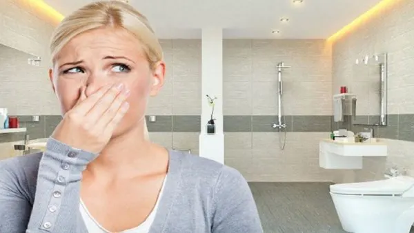 Cách khử mùi hôi nhà vệ sinh công cộng hiệu quả - hình 1