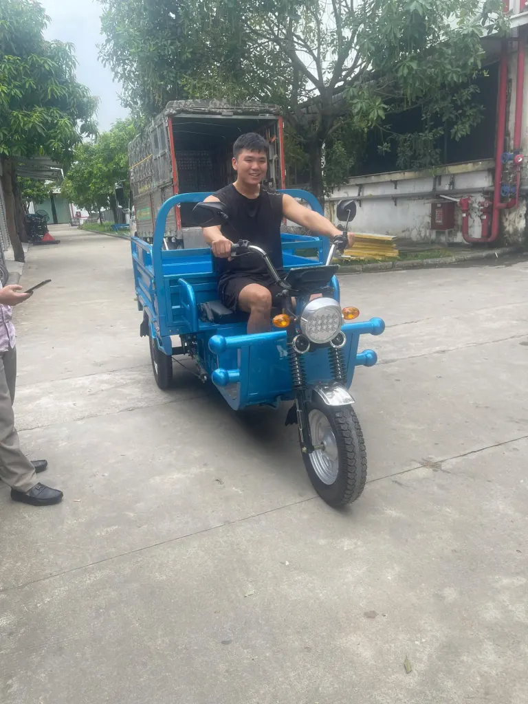 Xe điện ba bánh thu gom và chở hàng - ảnh 12