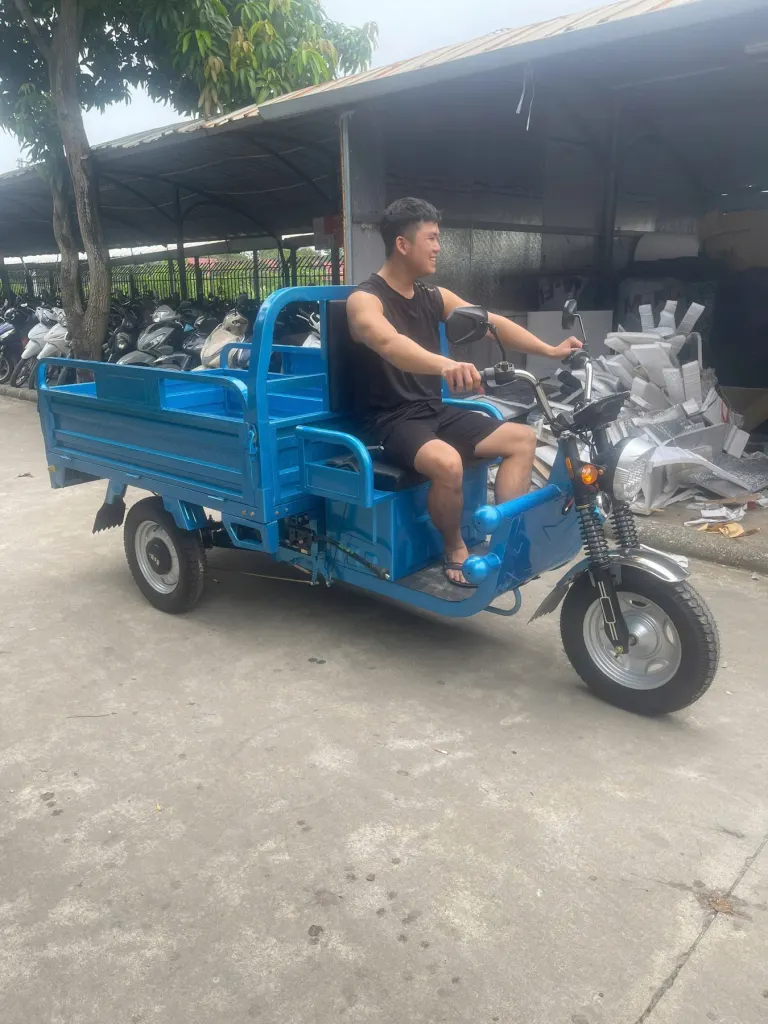 Xe điện ba bánh thu gom và chở hàng - ảnh 10