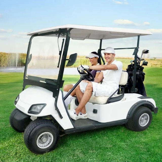 Xe điện sân golf 2 chỗ
